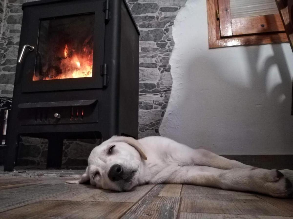 Hauzify I Ca La Nena Morena Villalba Saserra Extérieur photo